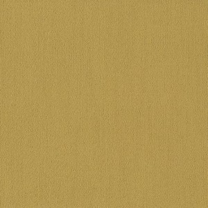 Color Accents BL Ochre